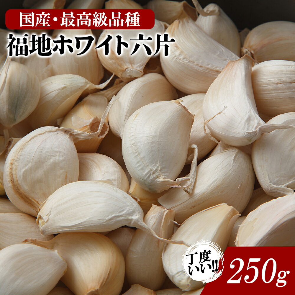 にんにく 乾燥にんにく 青森 250g 福地ホワイト 2023年度物 バラ 送料無料 皮剥けなし 青森県産にんにく 250g バラニンニク ネット詰め 国産【同梱G】 父の日 お中元 お歳暮 御歳暮