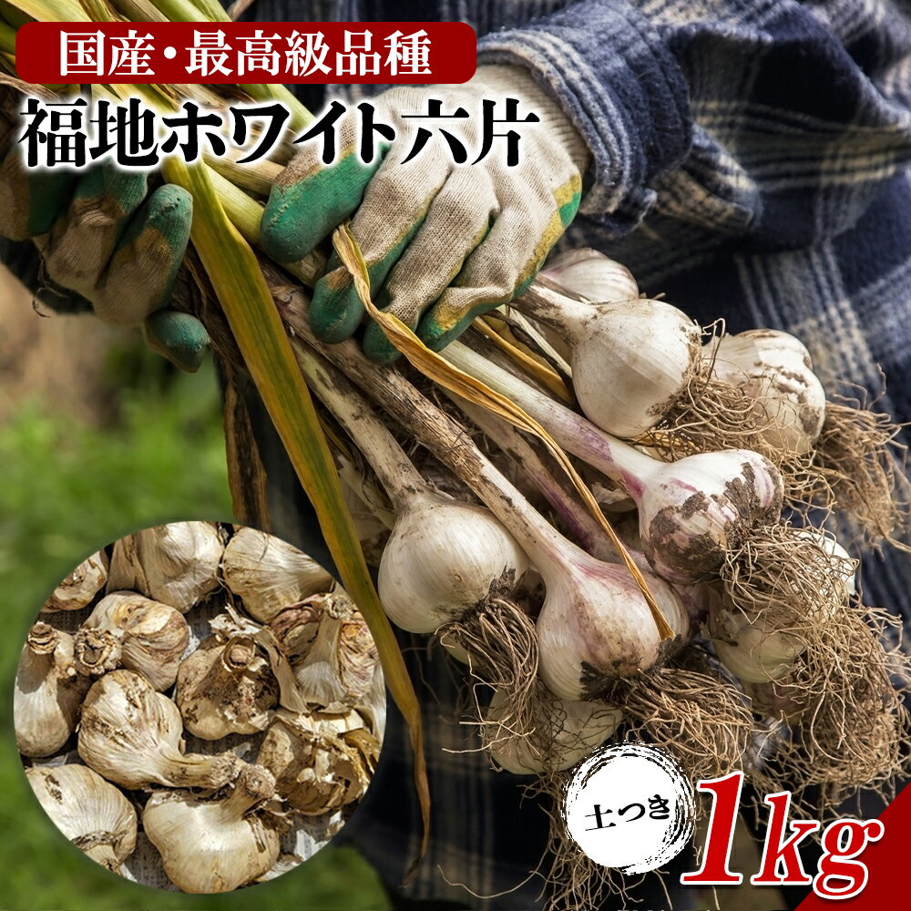 にんにく 土付き 福地ホワイト にんにく 青森 1kg 2023年度物 送料無料 青森県産にんにく 1キロ 土付きニンニク ネット詰め 国産【同梱G】 父の日 お中元 お歳暮 御歳暮