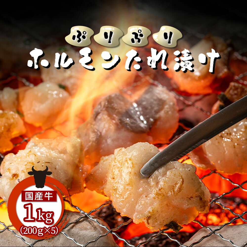 【10%OFFクーポン配布中】＼ランキング1位獲得／もつ鍋 ホルモン焼き もつ焼き 国産牛ぷりぷりホルモン タレ漬け 1000g BBQ マルチョウ 焼肉　1kg　 もつ焼き ホルモン焼き 冷凍【同梱L】 父の日 お中元【日替】のサムネイル