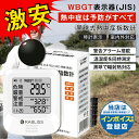 【10点】【適格請求書発行】黒球式 熱中症指数計 WBGT 測定器 暑さ指数計 壁掛け 携帯 熱中症計 黒球式熱中症指数計 黒球 球式 時計 熱中症対策グッズ 温湿度計 湿度 熱中症対策 熱中アラーム WBGT計 温度計 屋内 屋外 工事現場 現場 小林薬品 2025最新仕様 団体購買