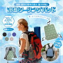 【メーカー直売割引】クールパッド 冷感 パッド 背中用 フリーサイズ フィット感 自然凍結 結露なし クールシート 軽量リュック ランドセル ニオイ冷却 フック付き 12時間使用 省エネ アイスクール 大人用 子供用 氷枕 チェア ベビーカー 暑さ対策 冷感マット アイスパッド