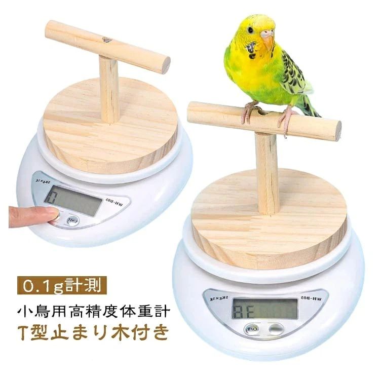 小鳥用高精度体重計T型止まり木付きとまり木にのるだけで小鳥の体重が量れて、簡単に健康管理ができる商品です。 0.1g から 500gまで計量できます。小鳥の体重管理に 適です。専用の止まり木が付属しており、小鳥が自然と乗りやすい設計です。普段から鳥さんの体重を確認していれば、増減で体調の変化を把握することが出来ます。0.1g単位の高精度計量で、餌の量や粉 の重さを簡単に測れます。電池式（単4形x2本、別売り）で持ち運びも便利なため、どこでも使える実用性が魅力です。デジタルスケールの電源ON/ もスムーズで、忙しい毎日でもストレスなく使えます。サイズ体重計+止まり木サイズについての説明T型止まり木：直径10.2cm 高さ .5cm 体重計：横幅12.5cm、縦幅16.2cm、高さ3.2cm素材木 プラスチック色写真色 ANDU 市場店