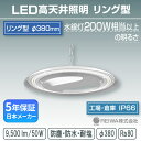 LED高天井 リング型モジュール 200w相当(50W)一体型(チェーン吊具/アングル固定式) 高天井用 施設照明 投光器 防湿 防雨 防水 防塵 塩害 工場 倉庫 屋外 水銀灯 水銀 ランプ バラストレス ナトリウム メタルハライド チョークレス 日本製 REIWA(RSRG-00501-N)(φ380)