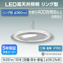 LED高天井 リング型モジュール 400w相当(100W)一体型(チェーン吊具/アングル固定式) 高天井用 施設照明 投光器 防湿 防雨 防水 防塵 塩害 工場 倉庫 屋外 水銀灯 水銀 ランプ バラストレス ナトリウム メタルハライド チョークレス 日本製 REIWA(RSRG-01001-N)(φ380)