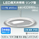 LED高天井 リング型モジュール 400w相当(100W)一体型(チェーン吊具/アングル固定式) 高天井用 施設照明 投光器 防湿 防雨 防水 防塵 塩害 工場 倉庫 屋外 水銀灯 水銀 ランプ バラストレス ナトリウム メタルハライド チョークレス 日本製 REIWA(RSRG-01001-N)(φ500)