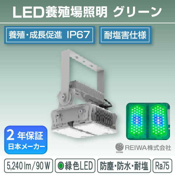 LED養殖場照明 400w相当(90W) グリーン一体型(アングル固定式) 緑色 養殖 養殖場 ヒラメ カレイ 魚 生..