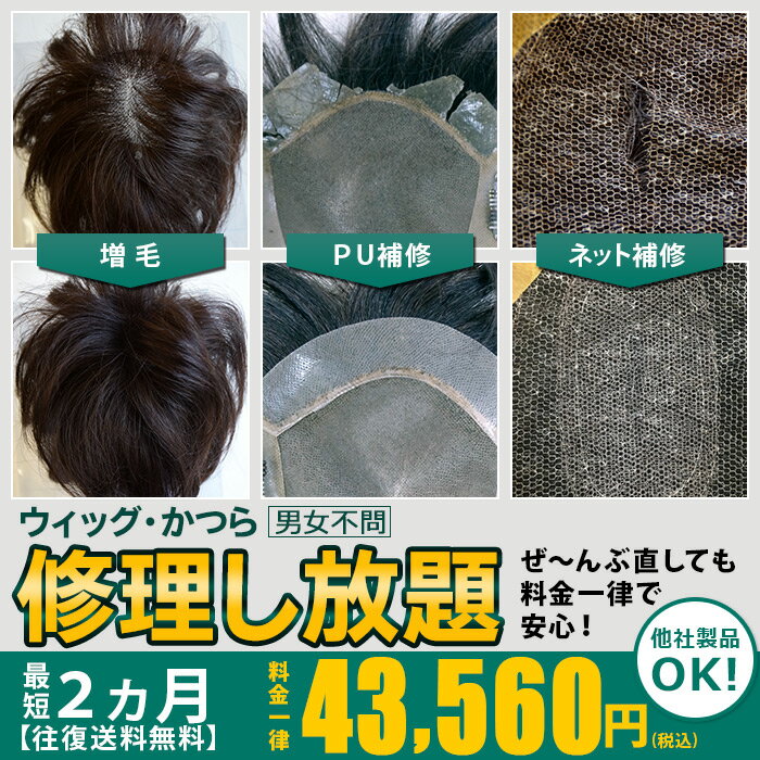 【ランキング1位】【往復送料無料】【修理し放題】かつら 修理 ウィッグ直し メンテナンス どれだけ直しても一律料金 全メーカー対応 男性 女性 ベース コーティング PU交換ウィッグ 修理 複製…