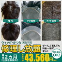 かつら 修理【ランキング1位】【往復送料無料】【かつら修理し放題】 ウィッグ直し メンテナンス どれだけ直しても一律料金 全メーカー対応 男性 女性 ベース コーティング PU交換ウィッグ 修理 複製 高品質 増毛 ネット破れ ちじれ直し 縮れ直し 白髪 人毛 人工毛