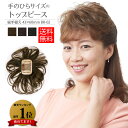 【在庫一掃アウトレット】ベリー万能トップピース フラワー 部分ウィッグ BR-02 総手植え つけ毛 白髪隠し ボリュームアップ 部分かつら ショート カール...