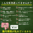 ポイント10倍！29日9:59マデ★クロレラ ヤエヤマクロレラ 八重山クロレラ粒 無添加 サプリ 300粒 1ヶ月分 送料無料 国産 沖縄 石垣島 サプリメント 健康 美容 アミノ酸 タンパク質60％以上含有 クロロフィル 葉酸 2