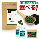 純国産 クロレラ 100％ 粒 250g 無添加 スーパーフード 1粒200mg [02] NICHIGA(ニチガ)