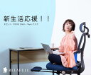 【2点セット】横幅 100 cm / 横幅 120 cm / 横幅 140 cm デスク + ワークチェア オフィスチェア オットマン付 デスクチェア EN01...