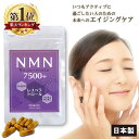 商品説明 究極のNMNへのこだわり高含有7,500mg。 わずか1粒で125mgのNMNが摂取可能。 NMNの含有量は99.9％以上です。 NMNの元となるNAD+（ニコチンアミドアデニンジヌクレオチド）は、 あらゆる生物に存在する成分で元々身体で作られているものですが、 それは年々加齢とともに減少ししていきます。 毎日手軽に摂取できる次世代エイジングケアで年齢を感じない日々をあなたに。 1粒でNMN125mgを配合するだけでなく、 NMNと相性の良く相乗効果の高い成分【 コエンザイムQ10 】【 アスタキサンチン 】【 レスベラトロール 】、 その三種類の独自の成分を配合し毎日を元気にアクティブに過ごしたい方をサポートします。 植物由来の【耐酸性カプセル】採用。胃で溶けずに腸まで届き吸収率UP。 信頼のGMP認定工場での国内製造 販売元・製造販売元 ともに国内企業 商品詳細 〇 名称：NMN加工食品 〇 主要成分(サプリメント・化粧品)：NMN 〇 原料：NMN(ニコチンアミドモノヌクレオチド)（中国製）：125mg（41.67%）、赤ワインエキス末（レスベラトロール）：50mg（16.67%）、コエンザイムQ10：30mg（10.00％）、 ヘマトコッカス藻色素 (アスタキサンチン含有)：5mg（1.67%）、結晶セルロース、ステアリン酸カルシウム、微粒二酸化ケイ素、HPMC（カプセル素材：植物成分）、カラメル色素（カプセル素材） 〇 内容量：18.6g[1粒重量310mg×60粒] 【原産国】日本 【発売元】株式会社サンエスライン 【目安量】2粒/1日（お好きな時間に摂取してください) 【賞味期限】2024/6月 商品内容 〇 NMN7500+ Re:juvenate 60カプセル入り（30日分） ×1 〇重要なお知らせ〇 【ご使用上の注意】 ※ 1日2粒を目安に、お好きな時間に水などとともにお召し上がりください。 ※ 原材料をご参照の上、アレルギーがある方、妊娠中の方、疾病治療中の方の摂取はお控えください。 ※ まれに体質に合わない場合がございます。お召し上がり後、体調のすぐれない場合はお召し上がりを中止してください。 ※ 自然素材のため、若干の味・色調等にばらつきがある場合がございますが、品質に問題はありません。 ※ 保存方法：直射日光と高温多湿を避けて保存してください お得なまとめ買いはコチラから！ &nbsp; 2個セットはコチラ 3個セットはコチラ