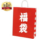 紙袋 手提げ袋 丸紐 福袋 50枚 福袋対象 食品 レディース プレゼント コスメ バッグ 日本製 高品質 クリスマス お正月 季節 雪 イベント 限定 サンタ かわいい ギフト 業務用 袋のみ 袋 福袋 サンエスライン