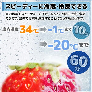 【即日発送】車載用冷蔵庫 15L + 専用 保冷バックセット ポータブル シガーソケット DC 12V 24V 対応 冷凍庫 冷凍冷蔵庫 災害 防災 レジャー アウトドア 車中泊 災害 車載冷蔵庫 小型 ミニ おすすめ クーラーボックス トラック トランク 停電 避難 台風 保冷通販格安セール情報 楽天 通販