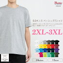 Printstar プリントスター 5.0オンス ベーシックTシャツ 00086-DMT 半袖 無地 綿 メンズ レディース 大きいサイズ 2XL 3XL カラーパターン01