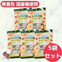 あかぎ の カリカリ梅 5袋 セット 送料無料 大容量 熱中症 赤城フーズ 夏バテ 対策 個包装 国産梅 梅