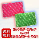 ホット&クールパッド Lサイズ ピンク&グリーン 各1 セット 温冷どちらでも使える 万能 ジェルパッド 〔 腰痛/発熱/氷枕 〕やわらか 繰り返し