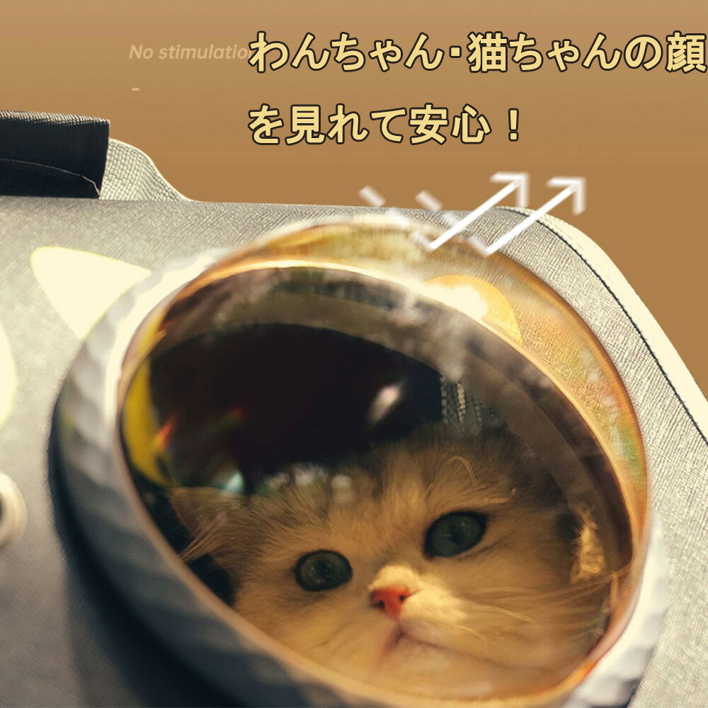 relaxstyleのペットキャリーバッグ 猫キャリー 手持ち ショルダー付き 2way おしゃれ 小型犬 小動物用 リュック 通気性 メッシュ 折りたたみ アウトドア お出かけ 旅行 通院 防災 避難用｜アングル3