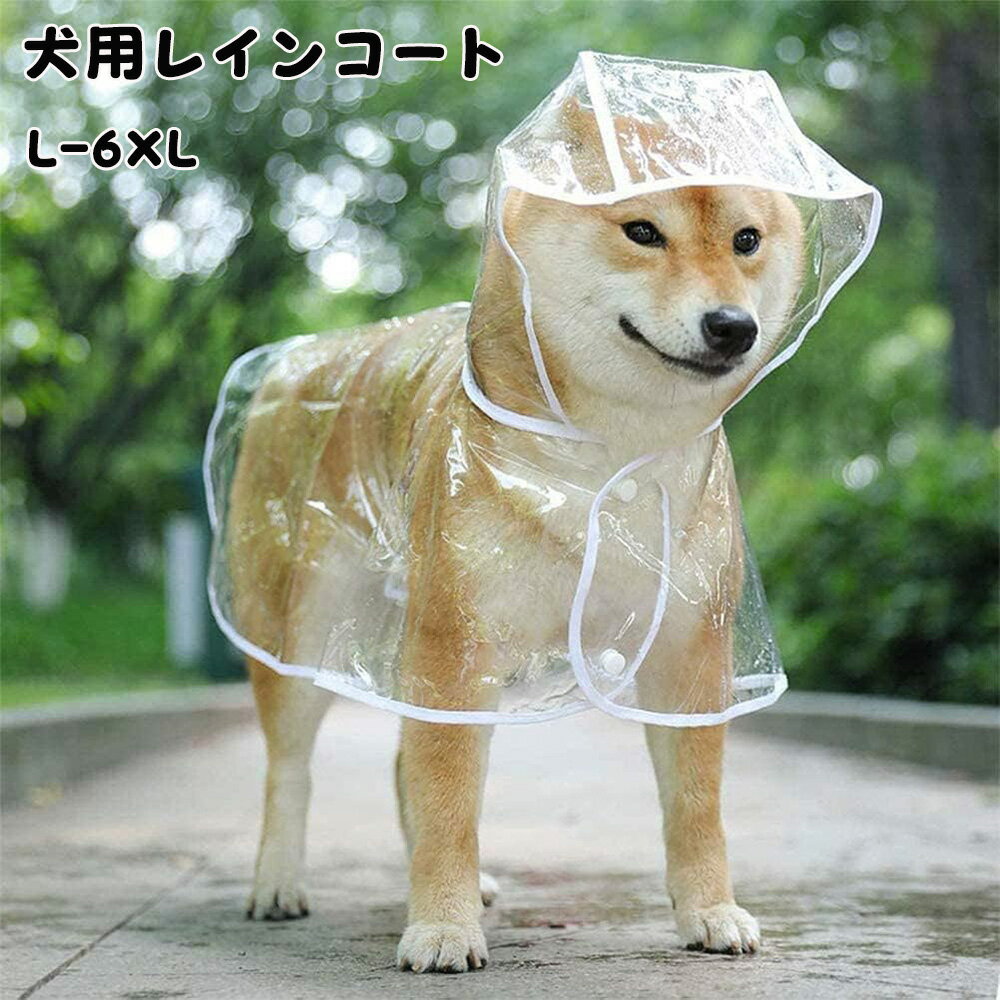 ���ѥ쥤�󥳡��� �ڥåȥ쥤�󥳡��� ���å� �ݥ���� ������ �淿�� �緿�� �ѿ��� Ʃ�� �������� ���褱�����к� ��æ��ñ ���� �ɿ��� �ѵ��� �����֤�...