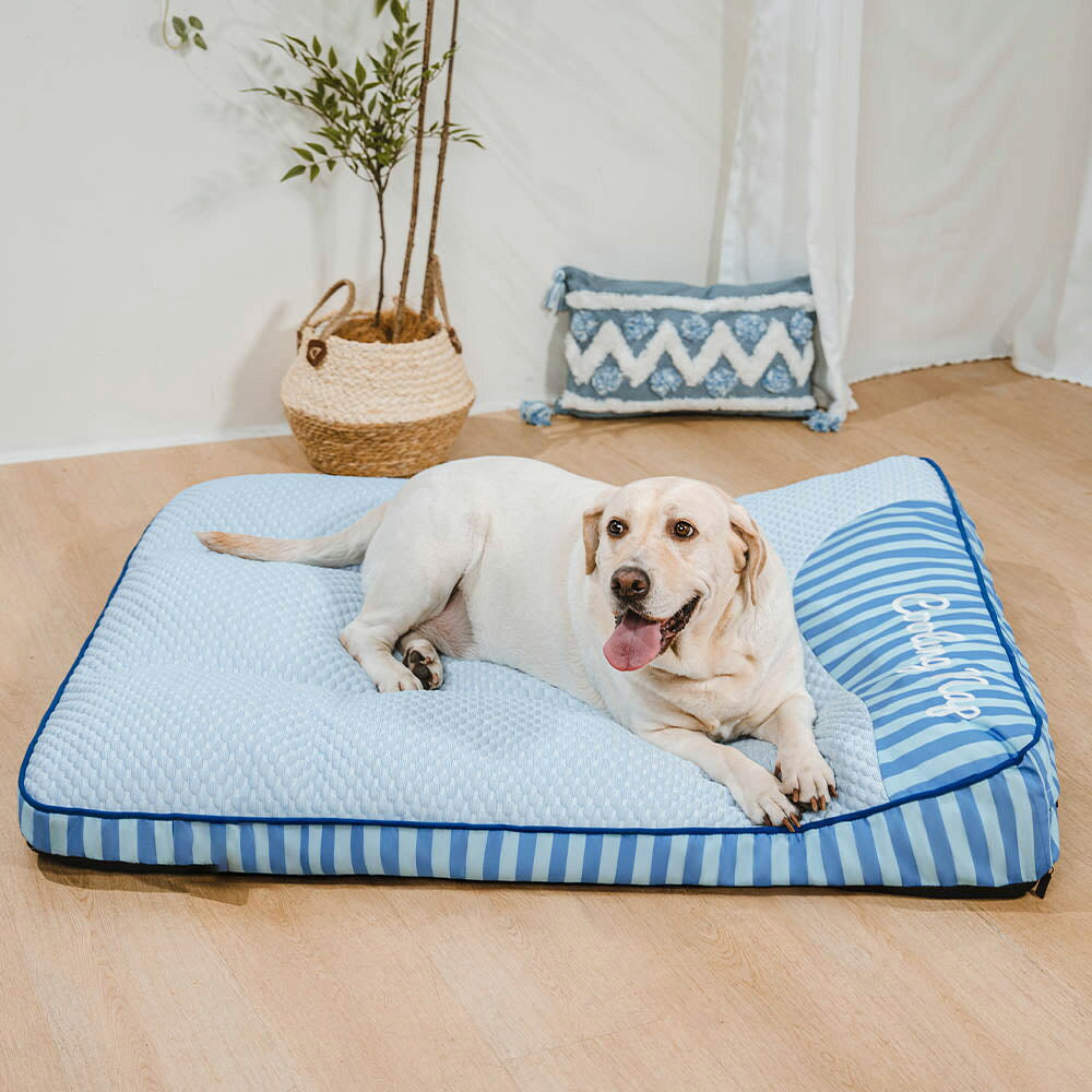 ペットベッド 夏用 ひんやり 犬 ベッド 接触冷感 洗える スポンジ チップ 滑り止め 通気性 吸湿速乾 体圧分散 シニア犬 大型犬 子犬 介護 マット クッション カバー取り外し 暑さ対策