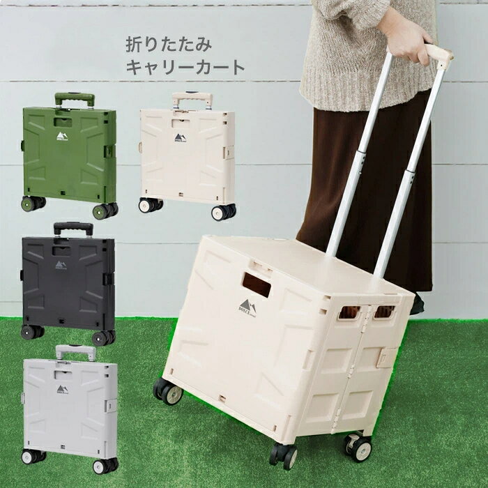 キャリーに入れて荷物の持ち運びをラクラクに！広げてハンドルを伸ばすだけの簡単組み立て。滑らかな走行ができるダブルキャスター付き。折りたたみだから使わない時はすき間にスッと収納できる。資源ごみの移動やお買い物、ガーデン用品、工具の持ち運びにとっても便利！日常のあらゆるシーンでの荷物運びに活躍！【商品詳細】使用時サイズ(約)：幅41.5×奥行き34×高さ92.5cm（ハンドルキャスターを含む）収納時サイズ(約)：幅41.5×奥行き9.5×高さ45cmコンテナ内寸(約)：幅35×奥行き28×高さ30cm重量(約)：2.8kg耐荷重(約)：25kg内容量(約)：45L材質：PP、鉄、TPR耐荷重は測定値であり、保証値ではございません。商品サイズ重量内容量は自社計測によるものです。若干の誤差はご了承ください。キャリーに入れて荷物の持ち運びをラクラクに！広げてハンドルを伸ばすだけの簡単組み立て。滑らかな走行ができるダブルキャスター付き。折りたたみだから使わない時はすき間にスッと収納できる。資源ごみの移動やお買い物、ガーデン用品、工具の持ち運びにとっても便利！日常のあらゆるシーンでの荷物運びに活躍！【商品詳細】使用時サイズ(約)：幅41.5×奥行き34×高さ92.5cm（ハンドルキャスターを含む）収納時サイズ(約)：幅41.5×奥行き9.5×高さ45cmコンテナ内寸(約)：幅35×奥行き28×高さ30cm重量(約)：2.8kg耐荷重(約)：25kg内容量(約)：45L材質：PP、鉄、TPR耐荷重は測定値であり、保証値ではございません。商品サイズ重量内容量は自社計測によるものです。若干の誤差はご了承ください。