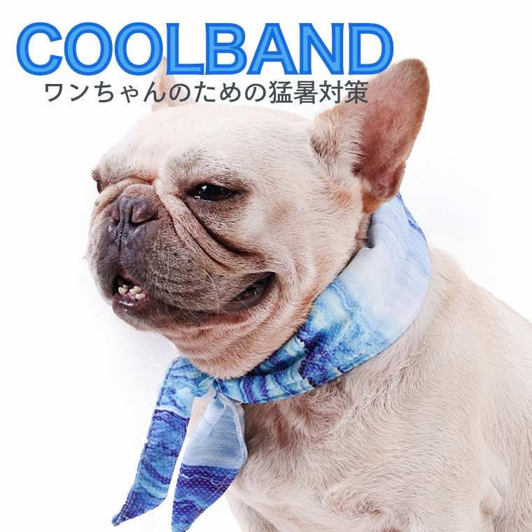 クールネック 犬 夏 クールバンダナ 軽い ひんやり おしゃれ クールバンド 保冷 小型犬 中型犬 猫 冷える 熱中症対策 おしゃれ 可愛い 冷感 冷え冷え 散歩 夏用品 暑さ対策 犬服