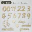 【1日限定!10%OFFクーポンあり】 レターバナー 木製 レター バナー 月齢フォト ニューボーンフォト マンスリー お食い初め 100日 カード 撮影小物 寝相アート お昼寝アート インスタ 映え ガーランド 誕生日 飾り付け 記念