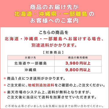 地球儀 「 No.2605 海洋タイプ地球儀 ラ・メール アクリル台　」 球体26cm 　渡辺教具 インテリア　入学祝 子供用 インテリア 卓上地球儀【Y/S/107】