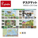 季節の図鑑&世界地図 デスクマット デスクシート 転写防止 密着しにくい 学習机 勉強マット ウオチ産業【mat2】【最短発送】