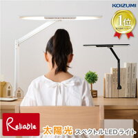 14%OFFクーポン! ＼楽天1位／ 目にやさしい 太陽光スペクトルLEDデスクライト ECL-...