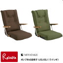 ポンプ肘式座椅子 UGUISU（うぐいす）【YS-1075D ブラウン/グリーン 】 完成品 宮武製作所【C/S 200】