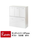 fy-0029 キッチンシリーズface ダストボックス 5分別 ゴミ箱 ホワイト 【代引き・時間指定不可】【c 153】