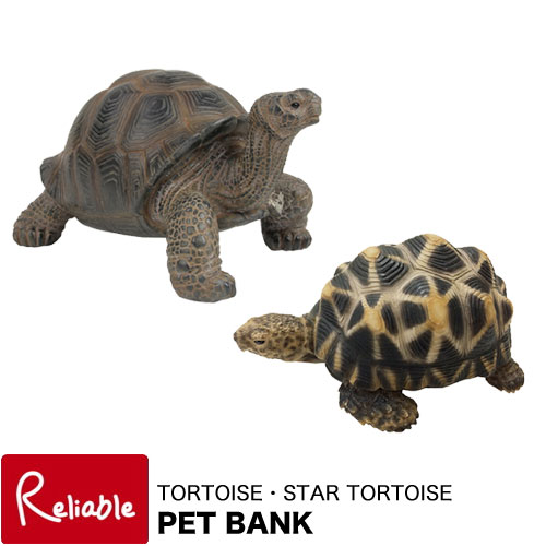 PET BANK(ペットバンク) TORTOISE/STAR TORTO