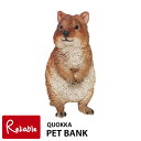 ybgoN NAbJ QUOKKA(57680)  IuWF A  PET BANK u CeA G K[fI[ig v[g magnetyY 48z