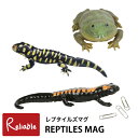 レプタイルズマグ バジェットフロッグ ベルサラマンダー バードタイガーサラマンダー マグネット内臓 REPTILES MAG カエル 有尾類 クリップホルダー 文房具 文具 magnet【Y 45】