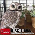 バーディビル (BIRDIE BILL BURROWING OWL)【バーローイングオウル 2370】アナホリフクロウのクリップホルダーアナホリフクロウ 梟 クリップホルダー オブジェ リアル メッセージバード magnet