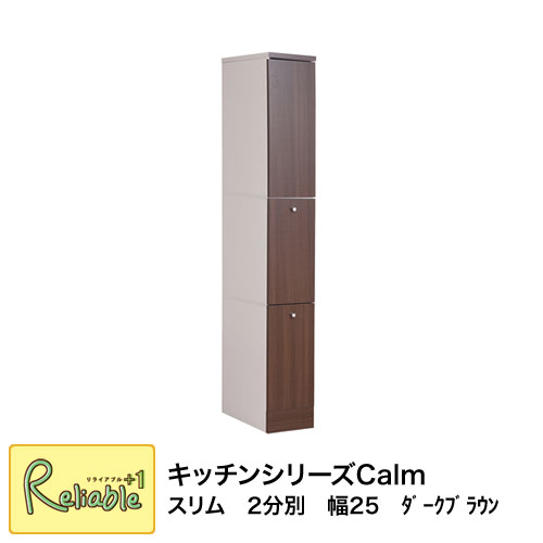 スリムダストボックス fy-0052 スリム 2分別 幅25 ダークブラウン キッチンシリーズ Calm 収納 棚 目隠しゴミ箱