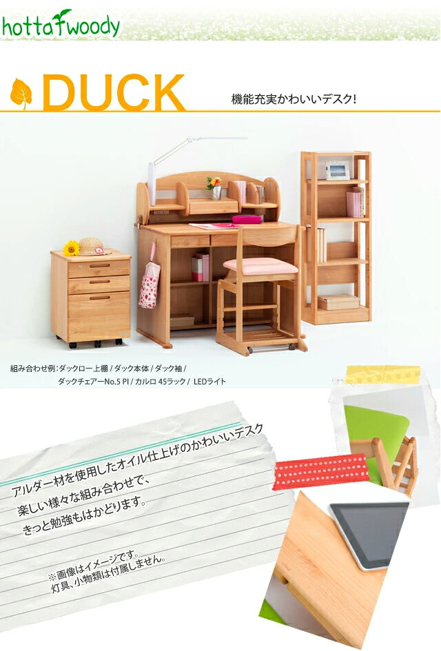 2026年度 堀田木工所 ダックAチェアー N...の紹介画像2
