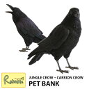 ペットバンク 貯金箱 オブジェ カラス ジャングルクロウ(57800) キャリオンクロウ(57801) リアル アニマル PET BANK JUNGLE CROW CARRION CROW からす インテリア雑貨 置物 magnet【57800/S78　57801/S66】