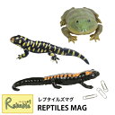 レプタイルズマグ バジェットフロッグ ベルサラマンダー バードタイガーサラマンダー マグネット内臓 REPTILES MAG カエル 有尾類 クリップホルダー 文具 文房具 magnet【Y 45】