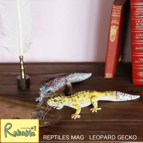 マラソン期間P3倍! レプタイルズマグ 「レオパードゲッコー」クリップホルダー REPTILES MAG LEOPARD GECKO ヒョウモントカゲモドキ ステーショナリホルダー 文房具 文具 オブジェ magnet 