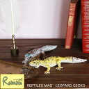 レプタイルズマグ 「レオパードゲッコー」クリップホルダー REPTILES MAG LEOPARD GECKO ヒョウモントカゲモドキ ステーショナリホルダー 文房具 文具 オブジェ magnet 