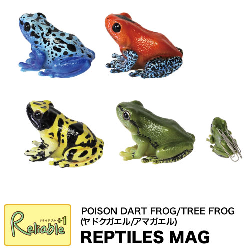 レプタイルズマグ ヤドクガエル アマガエル REPTILES MAG DART FROGS TREE FROG カエルの形のマグネット クリップホルダー 文房具 文具 ステーショナリー オブジェ リアル magnet【あす楽対応】