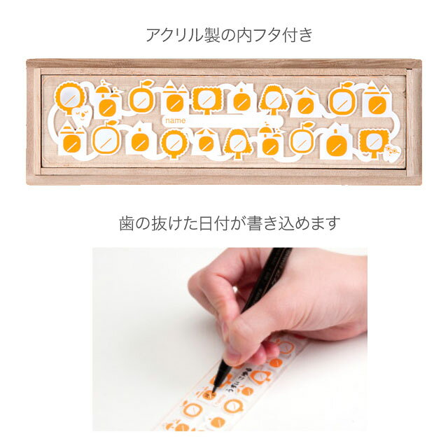 【メール便配送のみ※代引き不可】桐箱乳歯ケース たまて歯庫 solby/ソルビー ダッ...