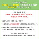 地球儀 「 No.3602 コロナ　」 球体26cm 　渡辺教具 インテリア　入学祝 子供用 インテリア 卓上地球儀【Y/S/97】 3