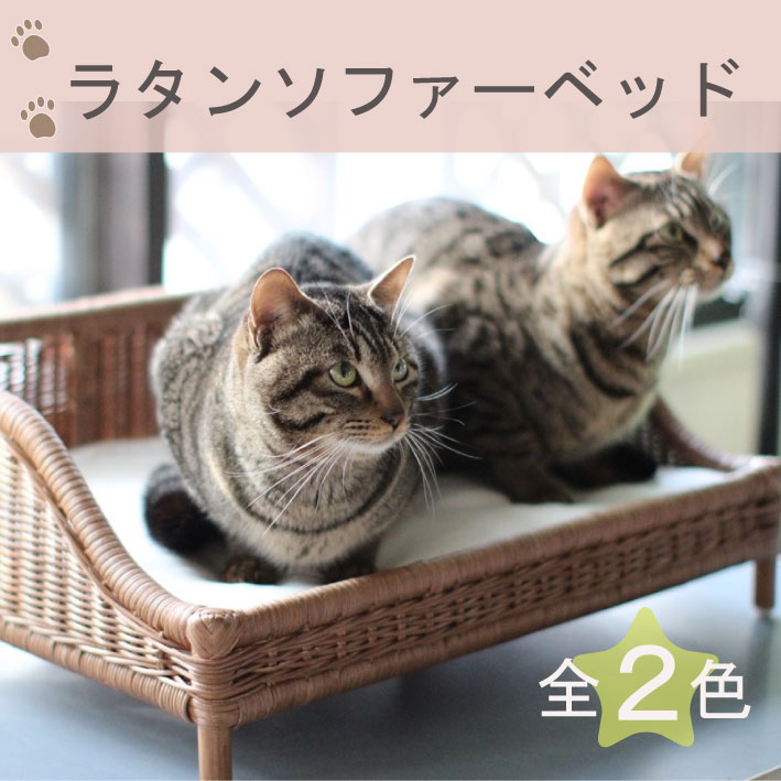 ペット用ラタンソファーベッド | ペット用 ソファー 籐 ラタン ベッド ネコ 犬 猫 ペット ペットソファー おしゃれ ハンドメイド 天然素材ベッド 犬用ベッド 猫用ベッド ペットベッド 猫ベッド 犬ベッド ペット用ソファ 北欧 その1