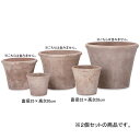 11号8号 2個セット テラコッタ ラウンド プランター | プランター 植木鉢 鉢 鉢カバー 鉢植え シンプル ガーデニング プランツギャザリング ブリコラー...