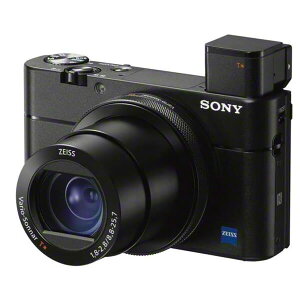 ソニー SONY コンパクトデジタルカメラ Cyber-shot（サイバーショット）RX100V D...