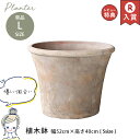 テラコッタ ラウンド プランター 17号 Lサイズ | 植木鉢 17号 植木鉢 大型 プランター 鉢 テラコッタ鉢 植木鉢 おしゃれ テラコッタ 17号 底穴あ...